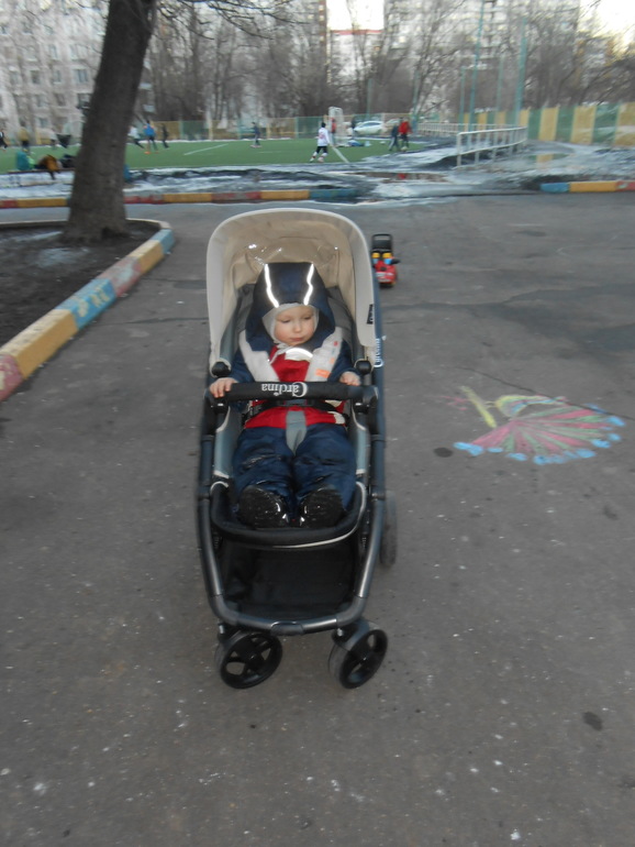 Каролина Форест