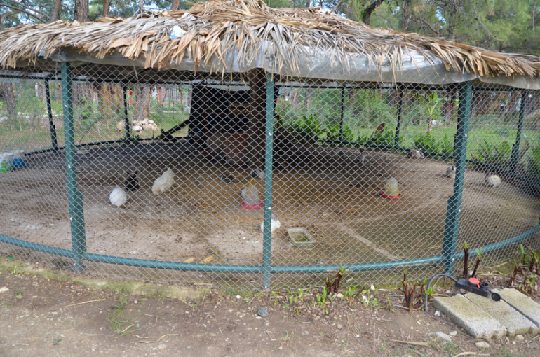 Экскурсии Турция в Кемер, Анталию, Динопарк, и Тахталы