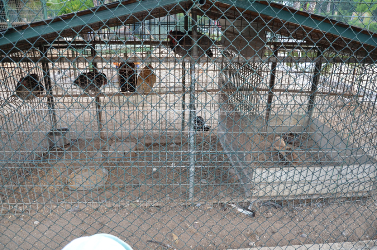 Экскурсии Турция в Кемер, Анталию, Динопарк, и Тахталы