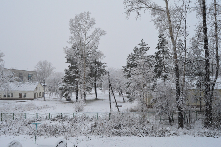 Зима пришла 24.10.2013
