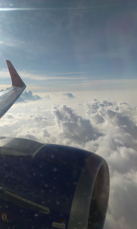 Калининград с ребенком 1,8