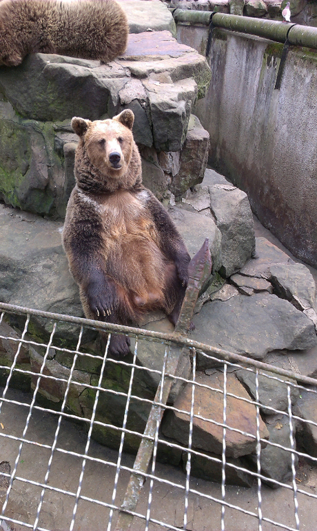 Калининград с ребенком 1,8