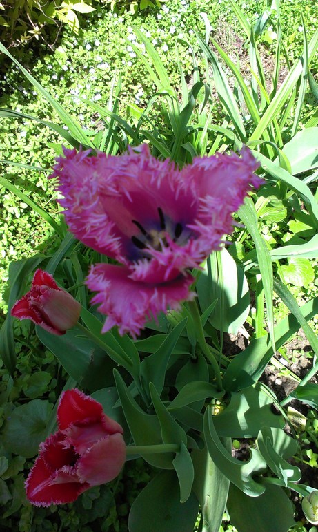 Мысли вслух