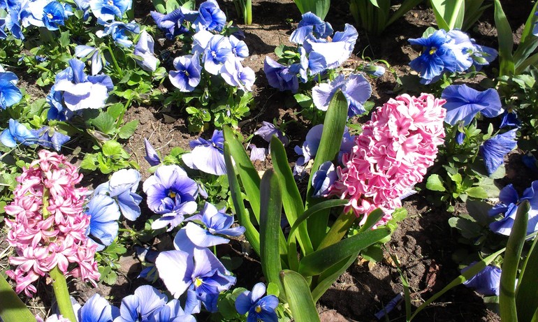 Мысли вслух