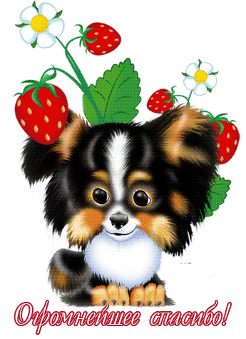 6cac1884a67f963af4d04786b0eb223e.gif