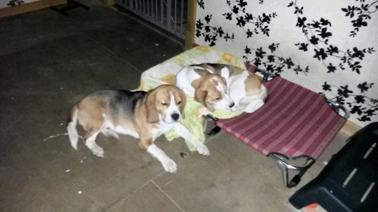 Спокойной ночи))))