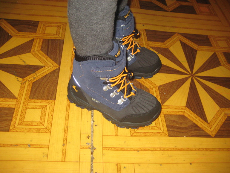 купили викинги