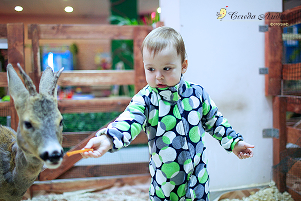 Контактный зоопарк