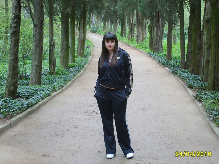 Никитинский ботанический сад.