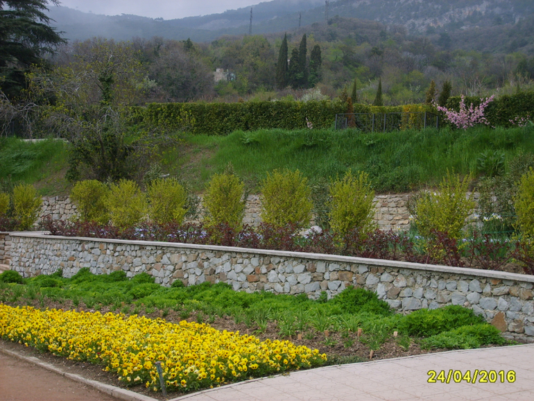 Никитинский ботанический сад.