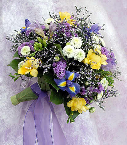 В стране Поздравляндии!