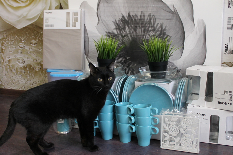 ИКЕА Казань ))