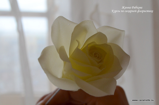 Фотоотчет с курсов по сахарным цветам в г. Уфа)))