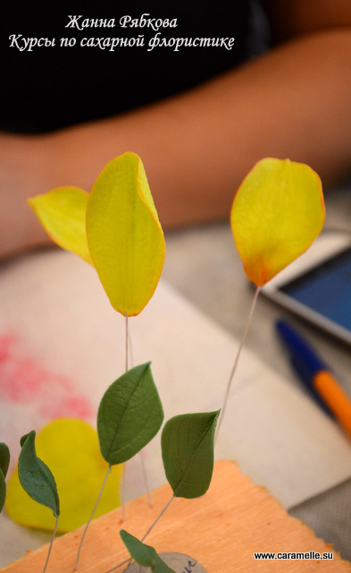 Фотоотчет с курсов по сахарным цветам в г. Уфа)))