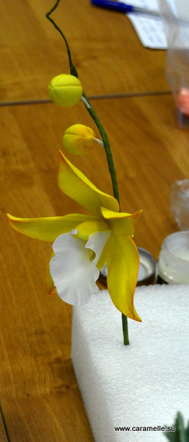 Отчет о прошедших курсах 28.02-02.03.2014 г.