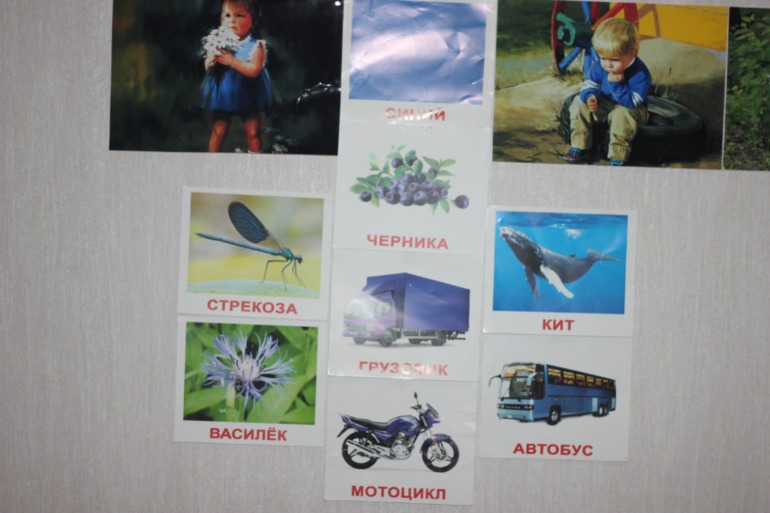 ТН Цвет