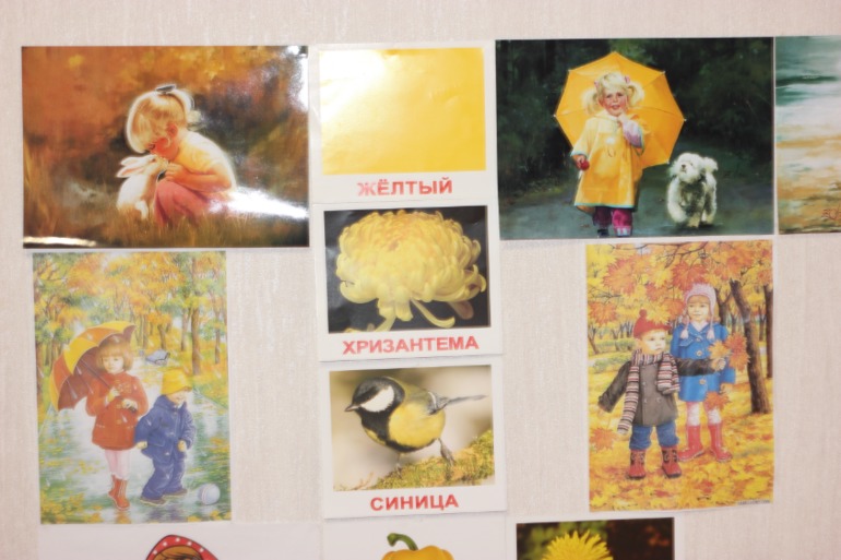 ТН Цвет