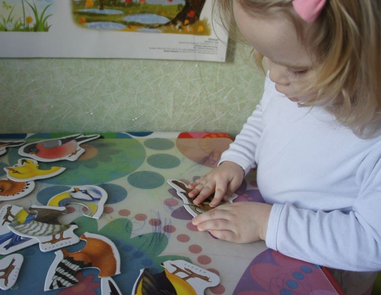 День 4. Здравствуйте птицы!