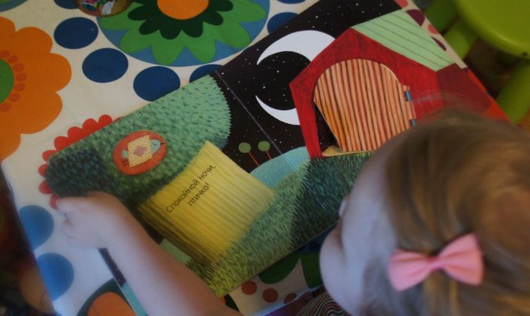 День 4. Здравствуйте птицы!