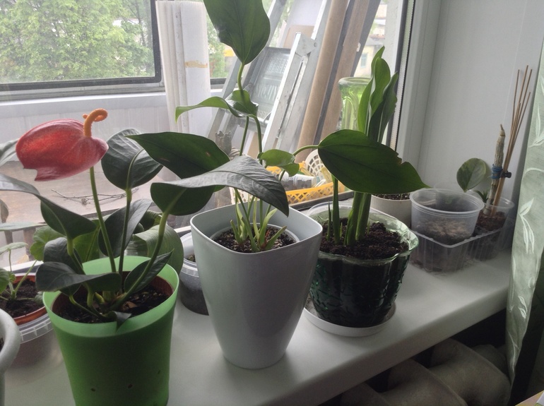 Мои друзяшки))