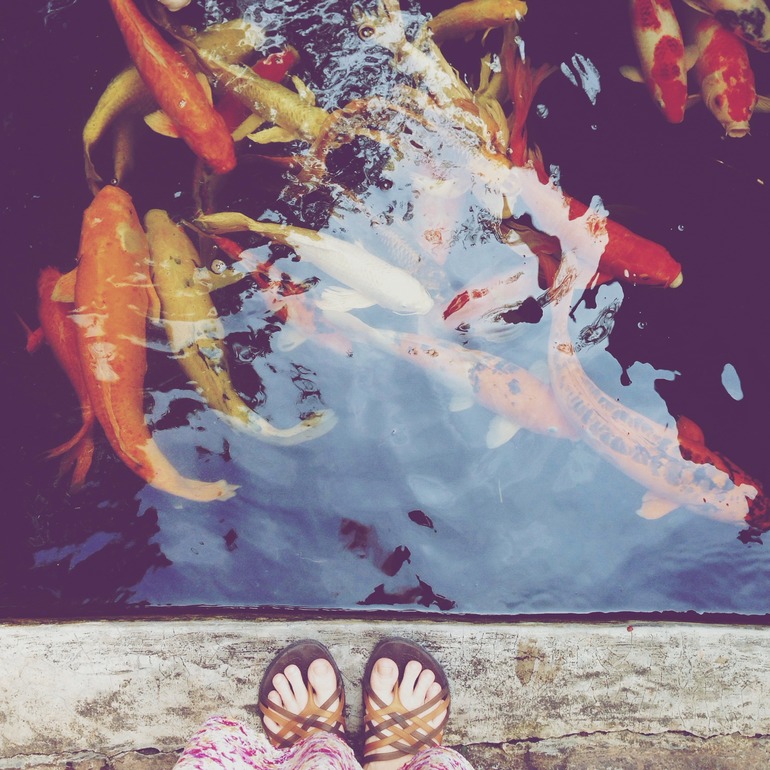 наша поездка в телефонной версии)