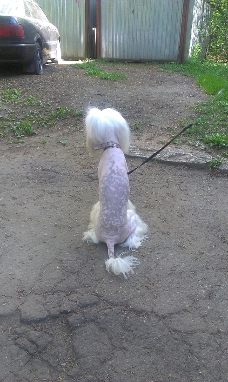 первый опыт с китайкой)