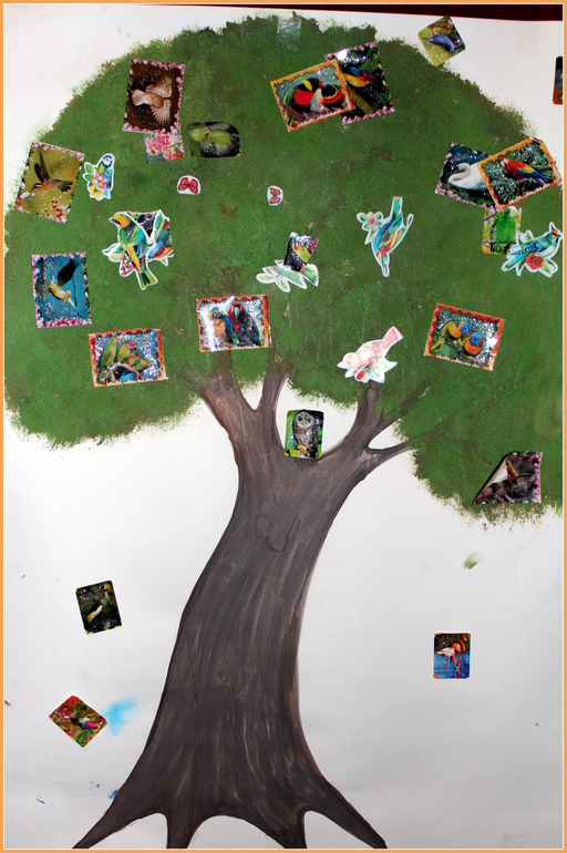 Наша птичья неделя