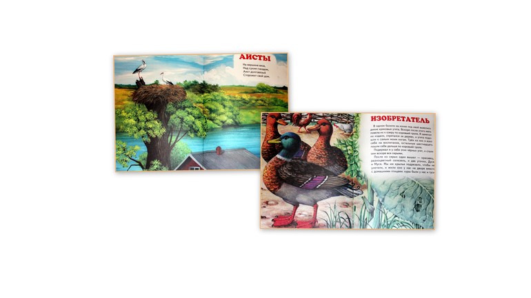 Наша птичья неделя