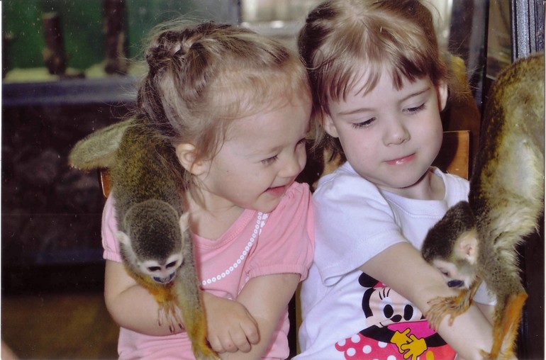 Наши выходные