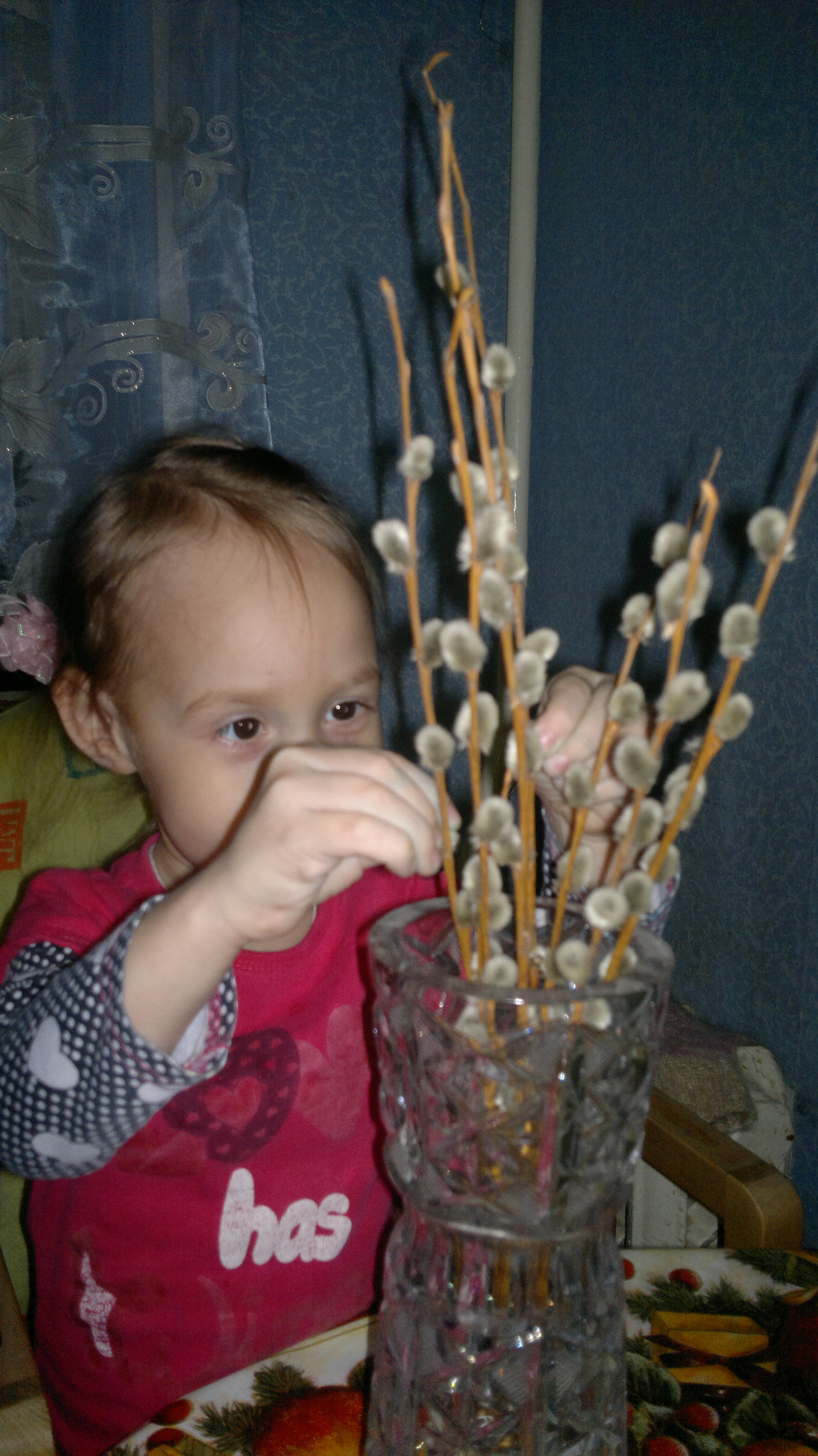ТН Весна. Цветы и деревья
