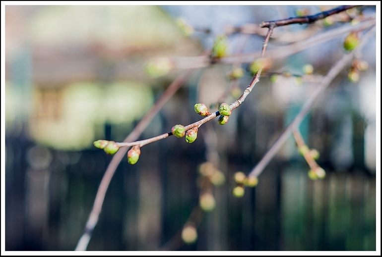 Останній день березня..