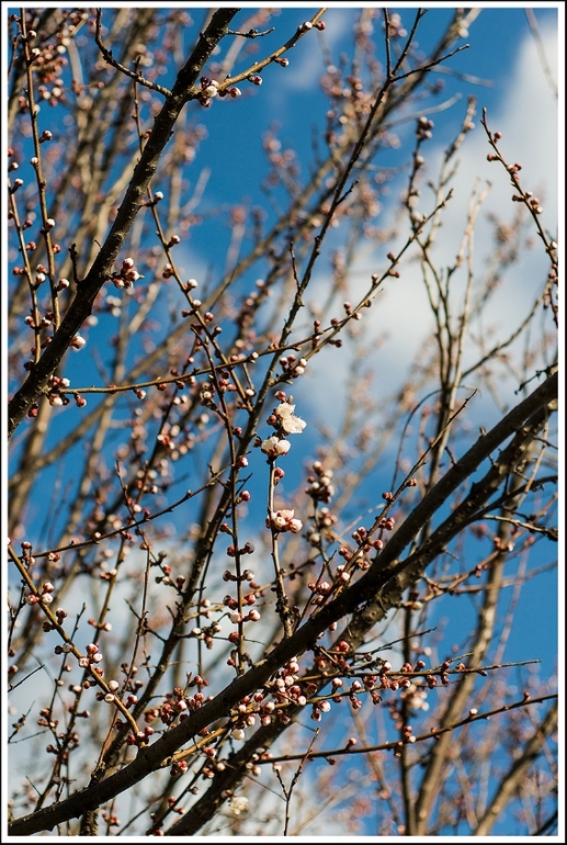 Останній день березня..