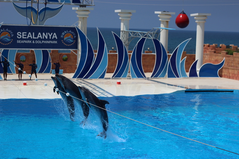 Первый полет)