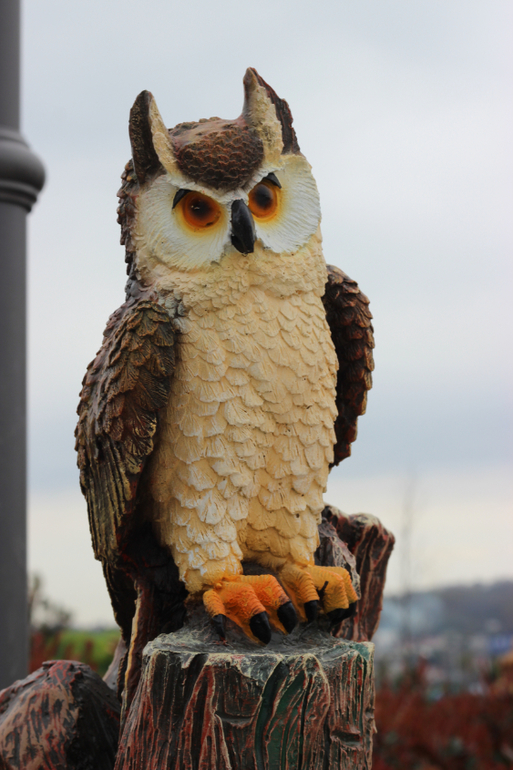 Одна страна - одна команда!