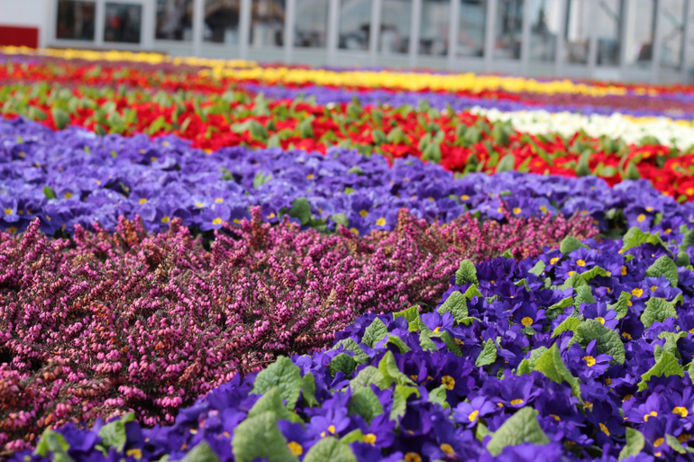 Одна страна - одна команда!