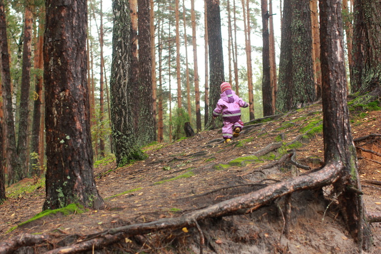 Наиболее выдающиеся итоги сентября