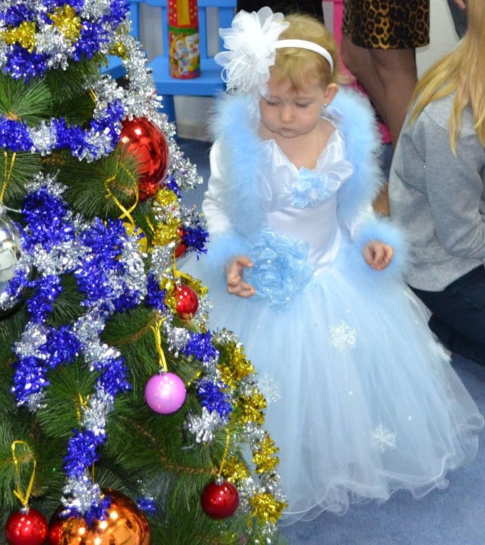 Новый год 2013-14