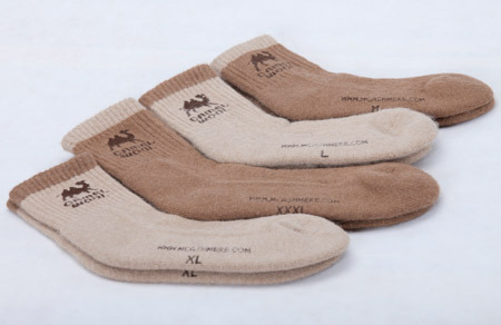 Спрос-опрос..Кому верблюда?? из Монголии..