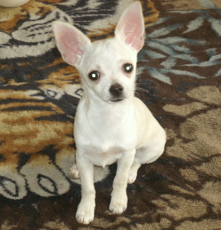 моя любимка!!!!!!!!!!!!!!!!!!