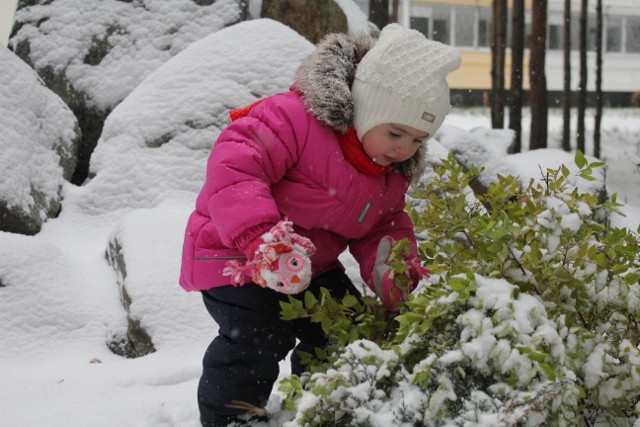 А у нас за окном зима)))