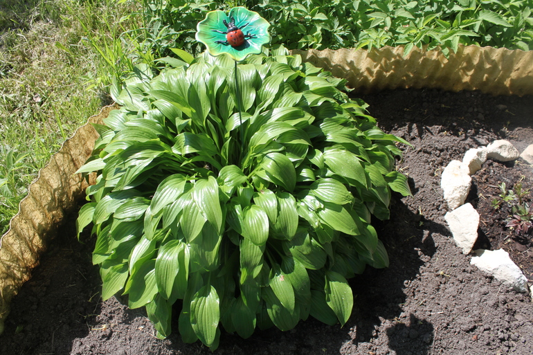 Помогите опознать