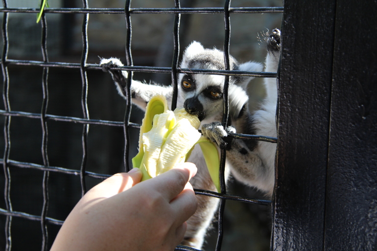 Отзыв про отдых в Никите