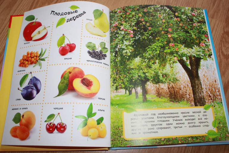 Мир в картинках