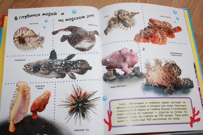 Мир в картинках