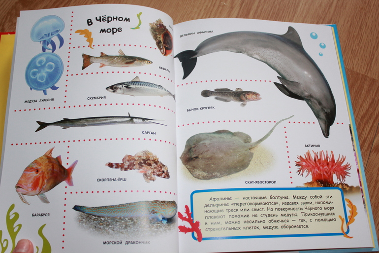 Мир в картинках