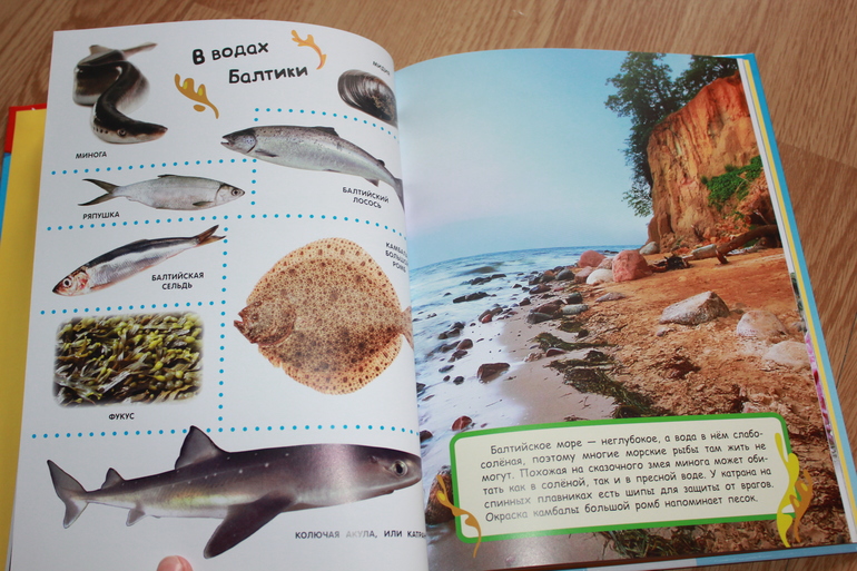 Мир в картинках