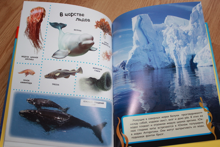 Мир в картинках