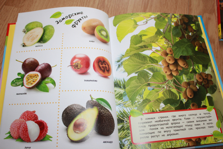 Мир в картинках