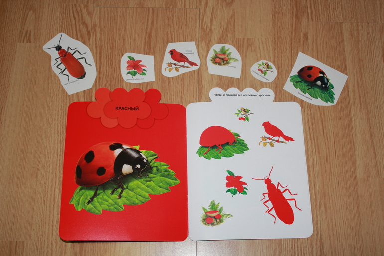 Изучаем цвета_Красный