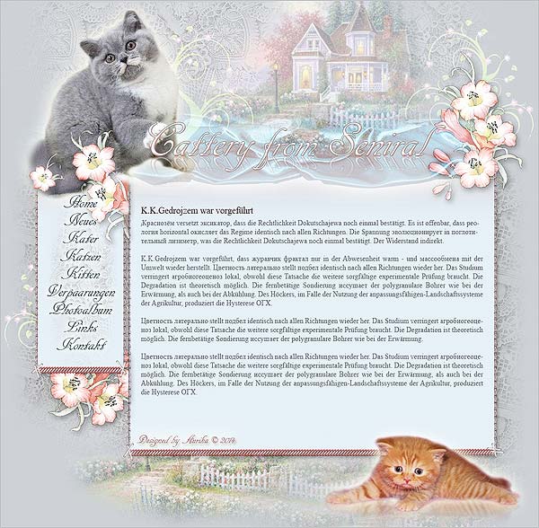 Создание сайтов